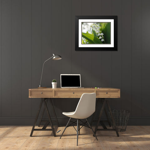 May Lilies Black Modern Wood Framed Art Print with Double Matting by Bonin, Suzanne