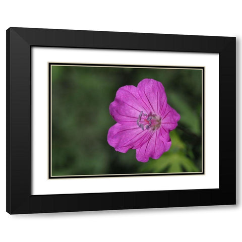 Promising Black Modern Wood Framed Art Print with Double Matting by Bonin, Suzanne