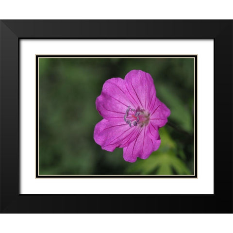 Promising Black Modern Wood Framed Art Print with Double Matting by Bonin, Suzanne