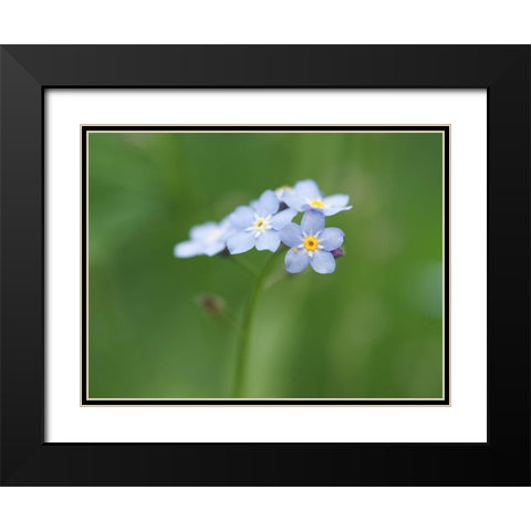 Small World Black Modern Wood Framed Art Print with Double Matting by Bonin, Suzanne