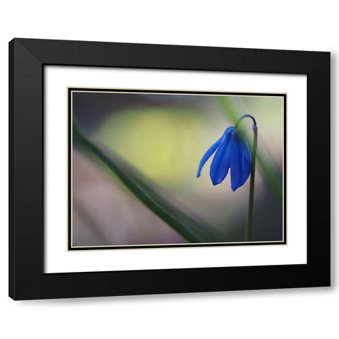 Tiny Blue Umbrella Black Modern Wood Framed Art Print with Double Matting by Bonin, Suzanne