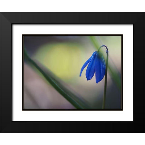 Tiny Blue Umbrella Black Modern Wood Framed Art Print with Double Matting by Bonin, Suzanne