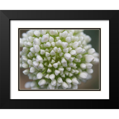 Another World Black Modern Wood Framed Art Print with Double Matting by Bonin, Suzanne