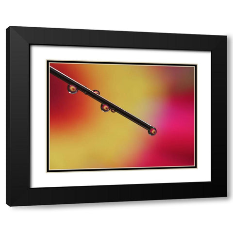 Experiment Black Modern Wood Framed Art Print with Double Matting by Bonin, Suzanne