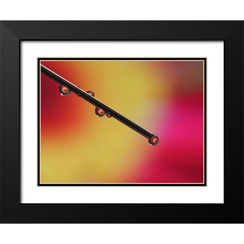 Experiment Black Modern Wood Framed Art Print with Double Matting by Bonin, Suzanne