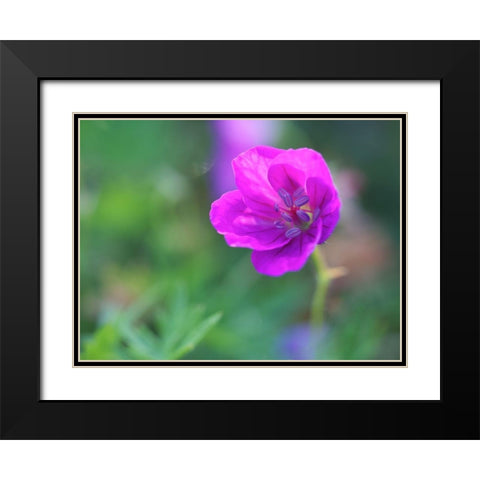 Little Bead Black Modern Wood Framed Art Print with Double Matting by Bonin, Suzanne