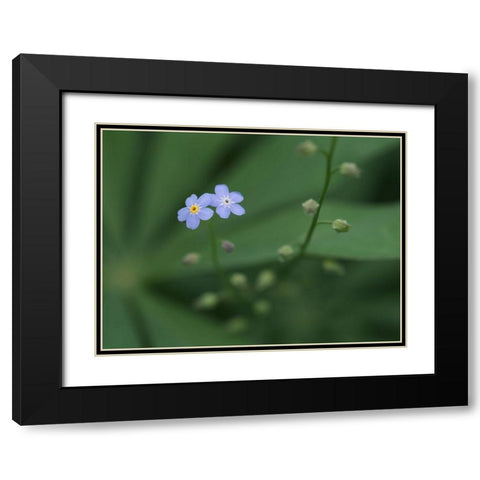 Small Universe Black Modern Wood Framed Art Print with Double Matting by Bonin, Suzanne