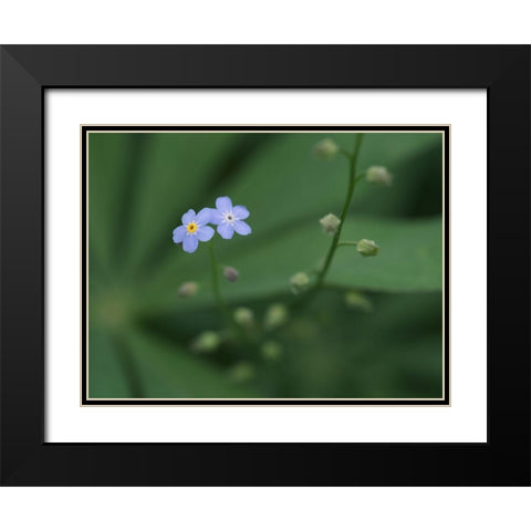 Small Universe Black Modern Wood Framed Art Print with Double Matting by Bonin, Suzanne