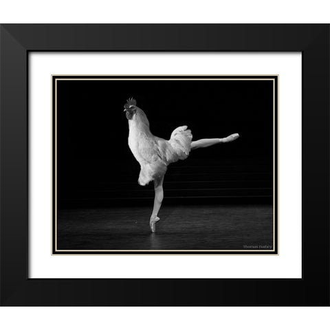 Beautiful Cock Black Modern Wood Framed Art Print with Double Matting by Barbey, Thomas