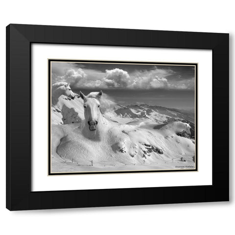 Icy Studs Black Modern Wood Framed Art Print with Double Matting by Barbey, Thomas
