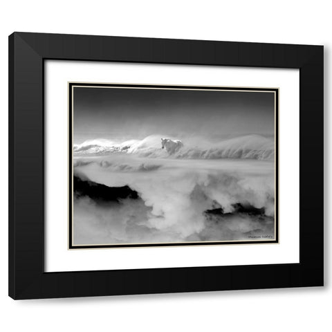 Night... Mare Black Modern Wood Framed Art Print with Double Matting by Barbey, Thomas