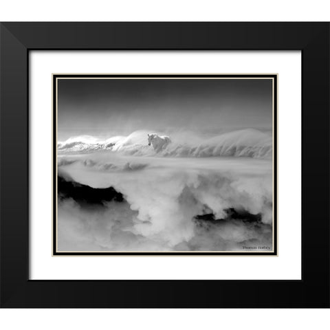 Night... Mare Black Modern Wood Framed Art Print with Double Matting by Barbey, Thomas