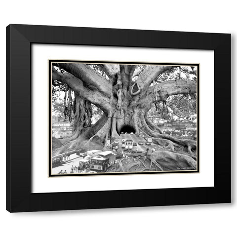 Tourist Trap Black Modern Wood Framed Art Print with Double Matting by Barbey, Thomas