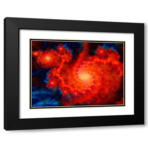 Cosmos Black Modern Wood Framed Art Print with Double Matting by Lavoie, Tina
