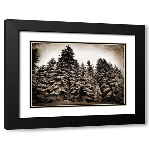 Old Growth Black Modern Wood Framed Art Print with Double Matting by Lavoie, Tina
