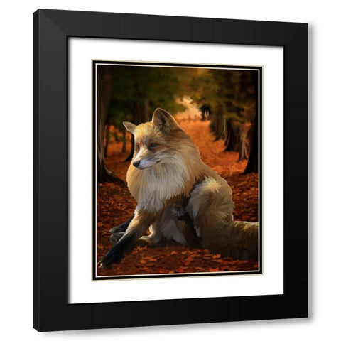 Fall Fox Black Modern Wood Framed Art Print with Double Matting by Lavoie, Tina