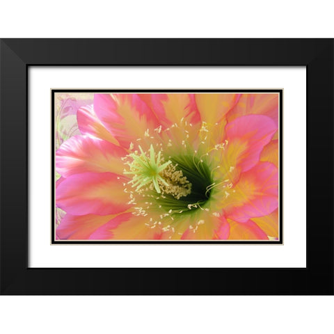 Paradisum II Black Modern Wood Framed Art Print with Double Matting by Lavoie, Tina