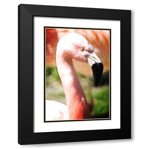 Pink Flamingo I Black Modern Wood Framed Art Print with Double Matting by Lavoie, Tina