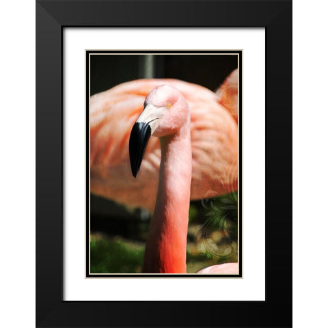 Pink Flamingo II Black Modern Wood Framed Art Print with Double Matting by Lavoie, Tina