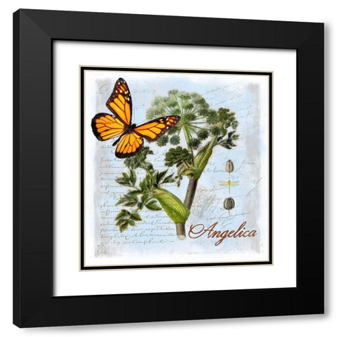 Angelica Herb Black Modern Wood Framed Art Print with Double Matting by Lavoie, Tina