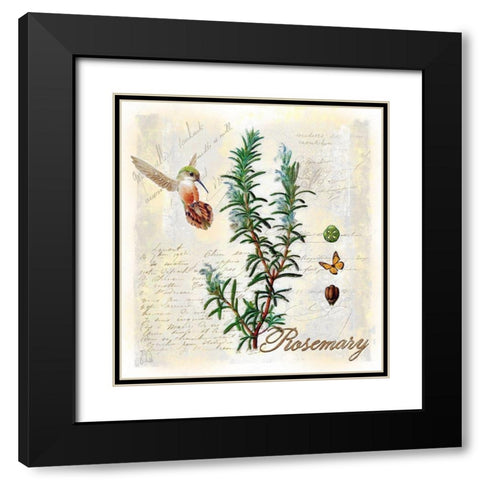 Rosemary Herb Black Modern Wood Framed Art Print with Double Matting by Lavoie, Tina
