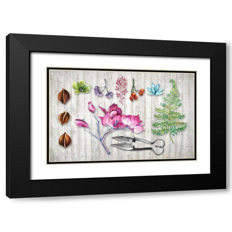 BotanicaII Black Modern Wood Framed Art Print with Double Matting by Lavoie, Tina