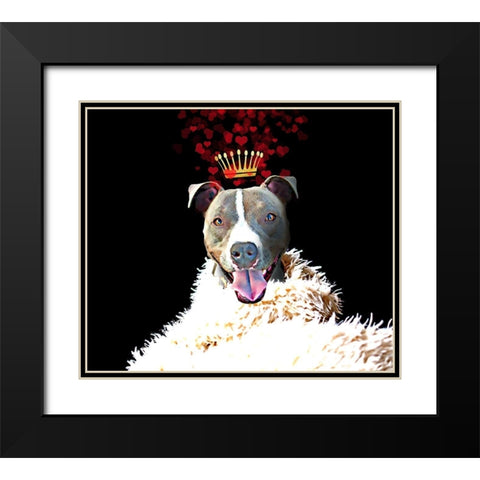 Royal Love Pup - Pit Bull Terrier Black Modern Wood Framed Art Print with Double Matting by Lavoie, Tina
