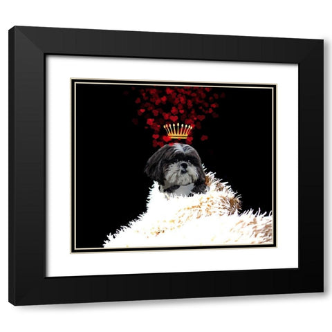 Royal Love Pup - Shi Tzu Black Modern Wood Framed Art Print with Double Matting by Lavoie, Tina