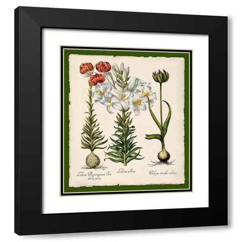 Botanica Nostalgia III Black Modern Wood Framed Art Print with Double Matting by Lavoie, Tina