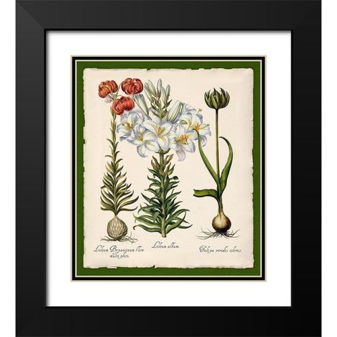 Botanica Nostalgia III Black Modern Wood Framed Art Print with Double Matting by Lavoie, Tina