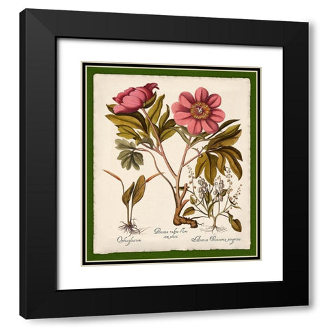 Botanica Nostalgia IV Black Modern Wood Framed Art Print with Double Matting by Lavoie, Tina