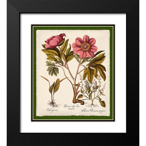Botanica Nostalgia IV Black Modern Wood Framed Art Print with Double Matting by Lavoie, Tina