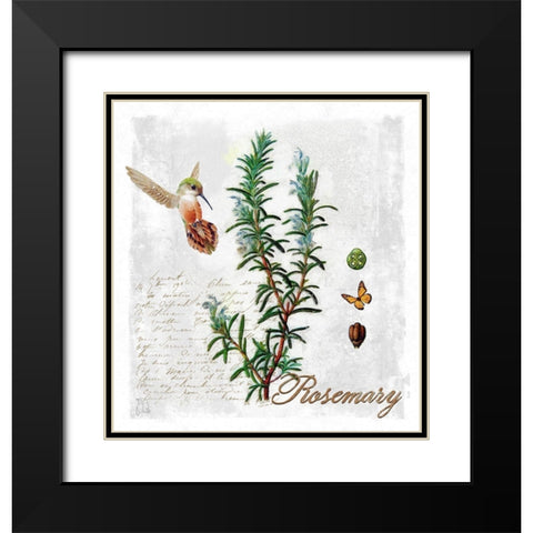 Botanical Garden Rosemary Herb Black Modern Wood Framed Art Print with Double Matting by Lavoie, Tina