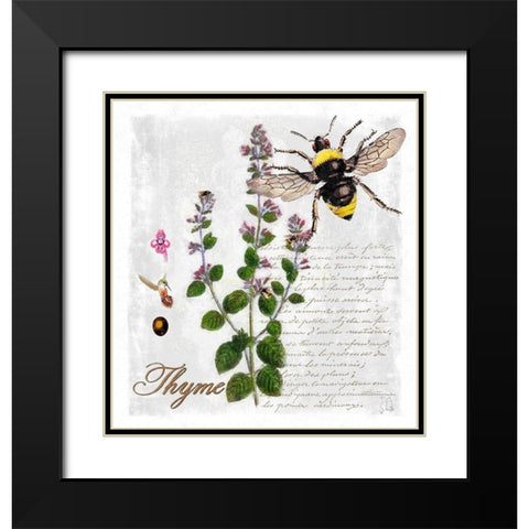 Botanical Garden Thyme Herb Black Modern Wood Framed Art Print with Double Matting by Lavoie, Tina