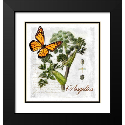 Botanical Gardern Angelica Herb Black Modern Wood Framed Art Print with Double Matting by Lavoie, Tina