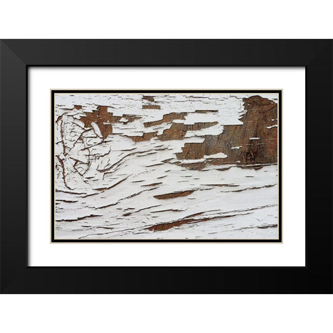 Whitewash 001 Black Modern Wood Framed Art Print with Double Matting by Lavoie, Tina