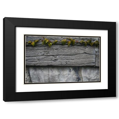 Old Montreal Ancient Wall and Ivy 2 Black Modern Wood Framed Art Print with Double Matting by Lavoie, Tina