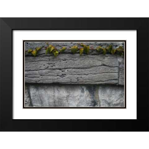 Old Montreal Ancient Wall and Ivy 2 Black Modern Wood Framed Art Print with Double Matting by Lavoie, Tina
