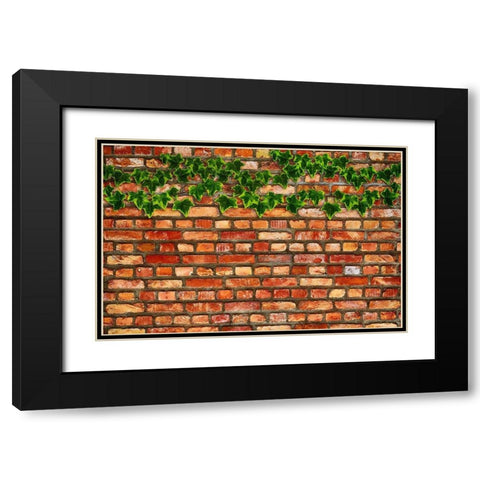 Brick Wall and Ivy Black Modern Wood Framed Art Print with Double Matting by Lavoie, Tina