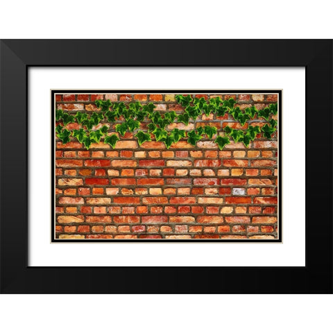 Brick Wall and Ivy Black Modern Wood Framed Art Print with Double Matting by Lavoie, Tina