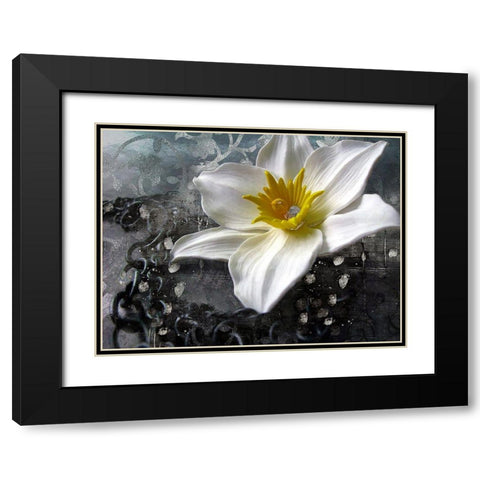 Frost Queen Black Modern Wood Framed Art Print with Double Matting by Lavoie, Tina