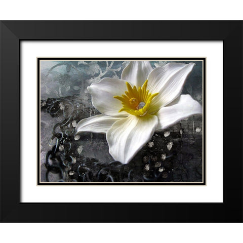 Frost Queen Black Modern Wood Framed Art Print with Double Matting by Lavoie, Tina