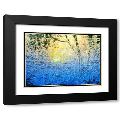 Ice Forest Black Modern Wood Framed Art Print with Double Matting by Lavoie, Tina