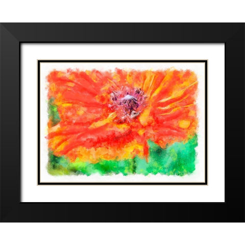 Ms Poppy Black Modern Wood Framed Art Print with Double Matting by Lavoie, Tina