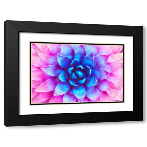 Agave Sunset Black Modern Wood Framed Art Print with Double Matting by Lavoie, Tina