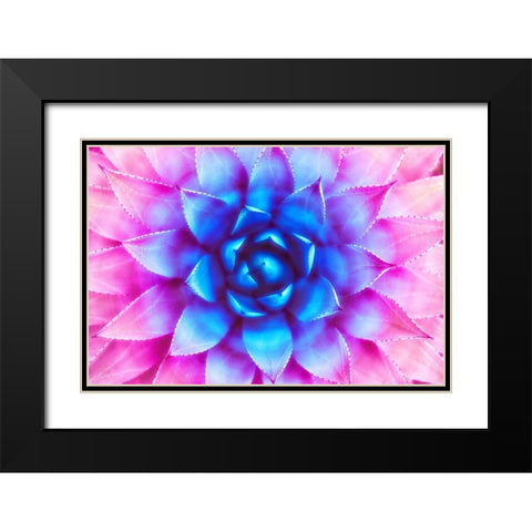 Agave Sunset Black Modern Wood Framed Art Print with Double Matting by Lavoie, Tina