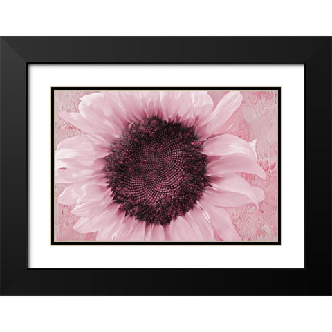 Pinkie La Rue Black Modern Wood Framed Art Print with Double Matting by Lavoie, Tina
