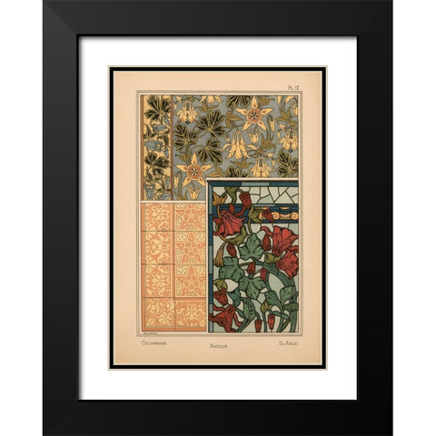 Plate 12 - Columbine Black Modern Wood Framed Art Print with Double Matting by Vintage Apple Collection