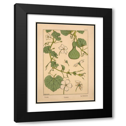 Plate 13 - Courd Black Modern Wood Framed Art Print with Double Matting by Vintage Apple Collection