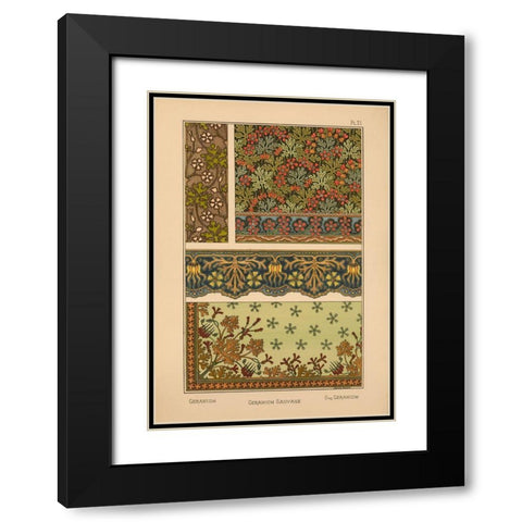 Plate 21 - Geranium Black Modern Wood Framed Art Print with Double Matting by Vintage Apple Collection